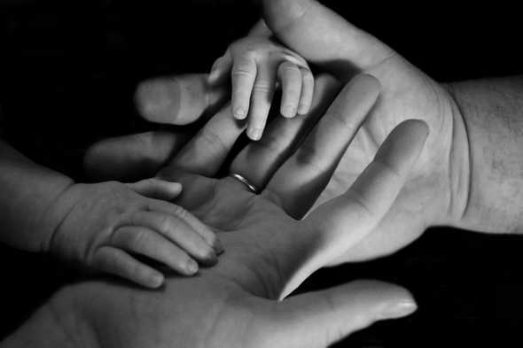 the hands of a baby in the hands of the father and mother